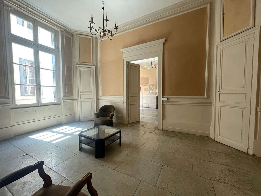 Montpellier ECUSSON - Appartement bourgeois de 232 m2 avec agréable terrasse de 70 m2 - photo 5