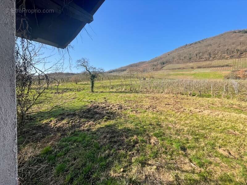 Terrain à CHATENOIS