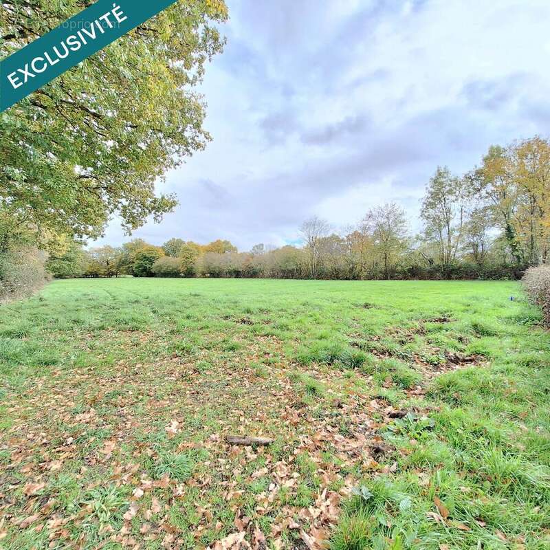 Photo 2 - Terrain à AUXY