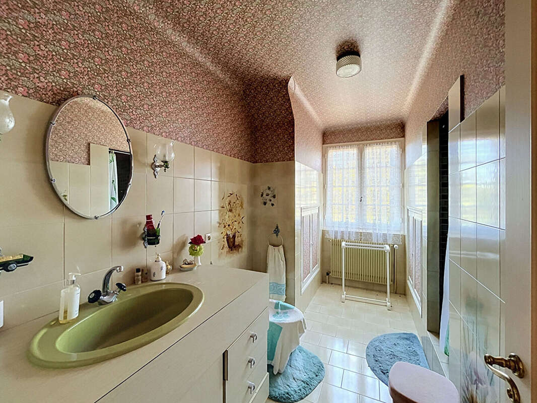Maison Olivet 7  pièces avec Jardin - photo 9