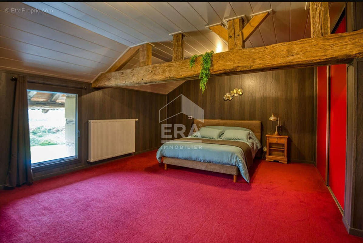 Maison 353m² à montrevel-en-bresse - photo 6