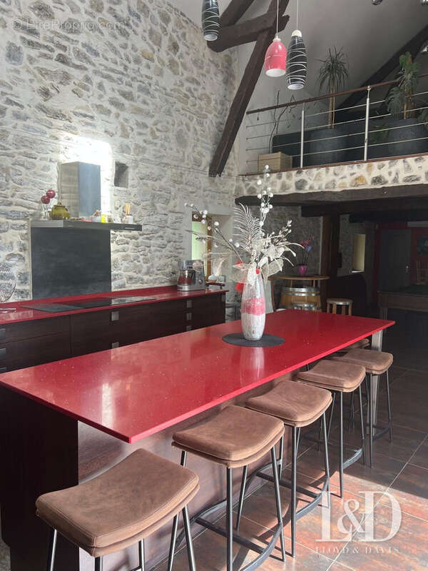 Maison à SALLES-MONGISCARD