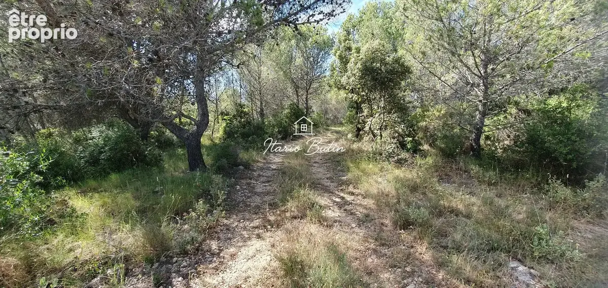 Terrain 7 875 m² à vendre à Quarante (34310) - photo 9
