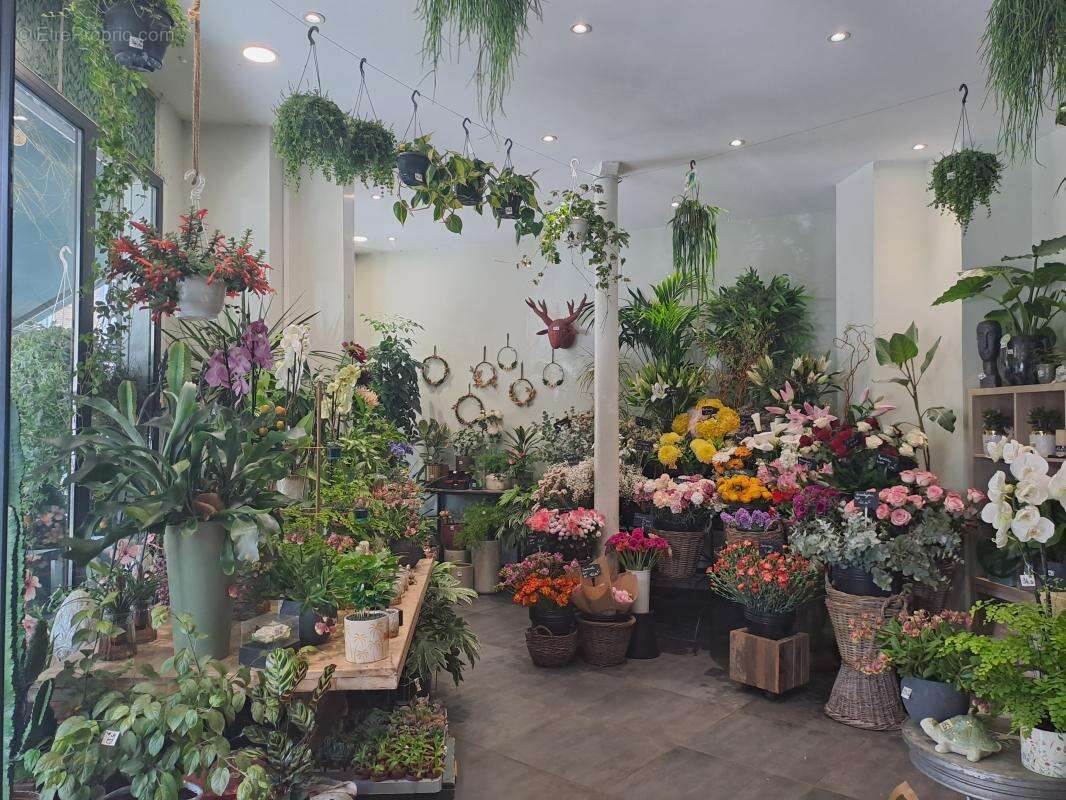 Commerce à PARIS-15E