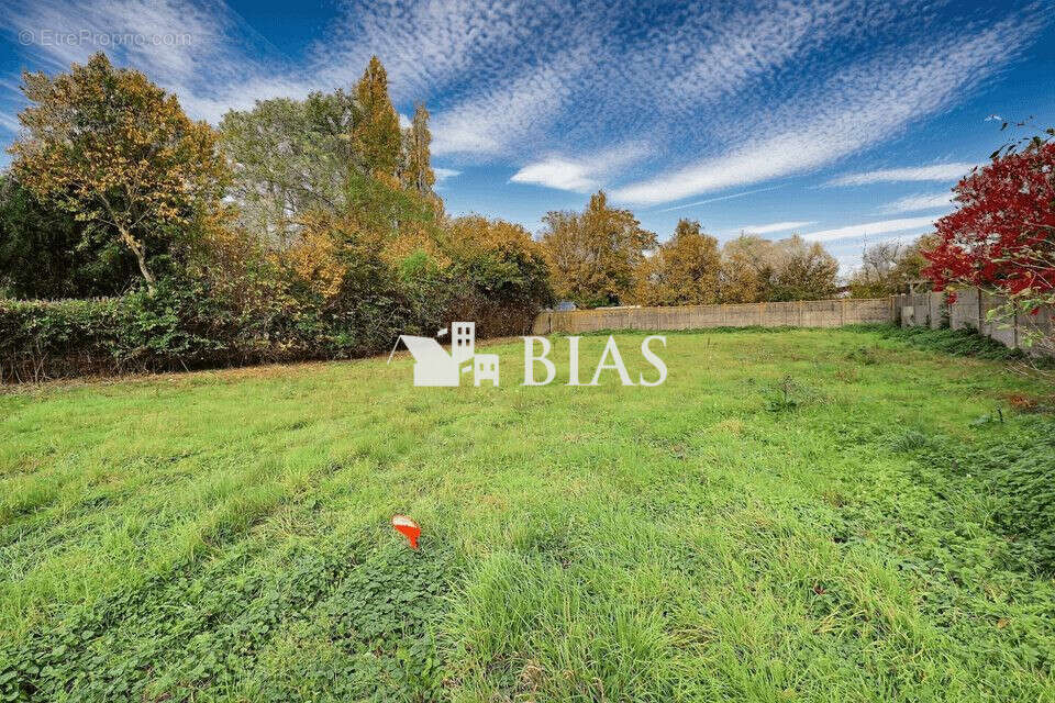 Terrain à CRASVILLE