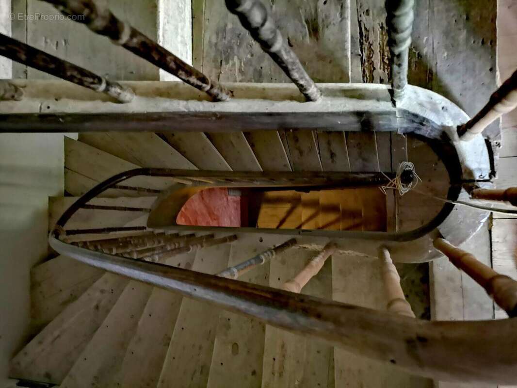 IMG20250502170318edit1755541791568059 - Maison à VIC-FEZENSAC