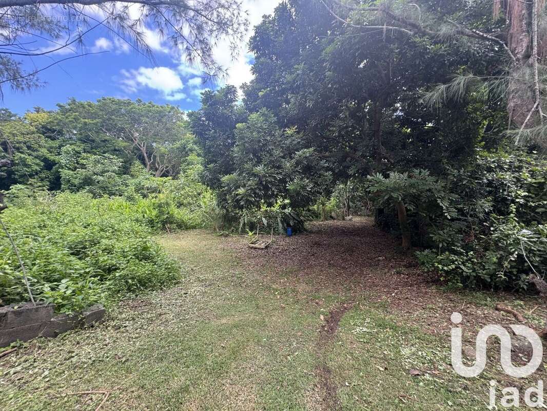 Photo 2 - Terrain à SAINT-PAUL