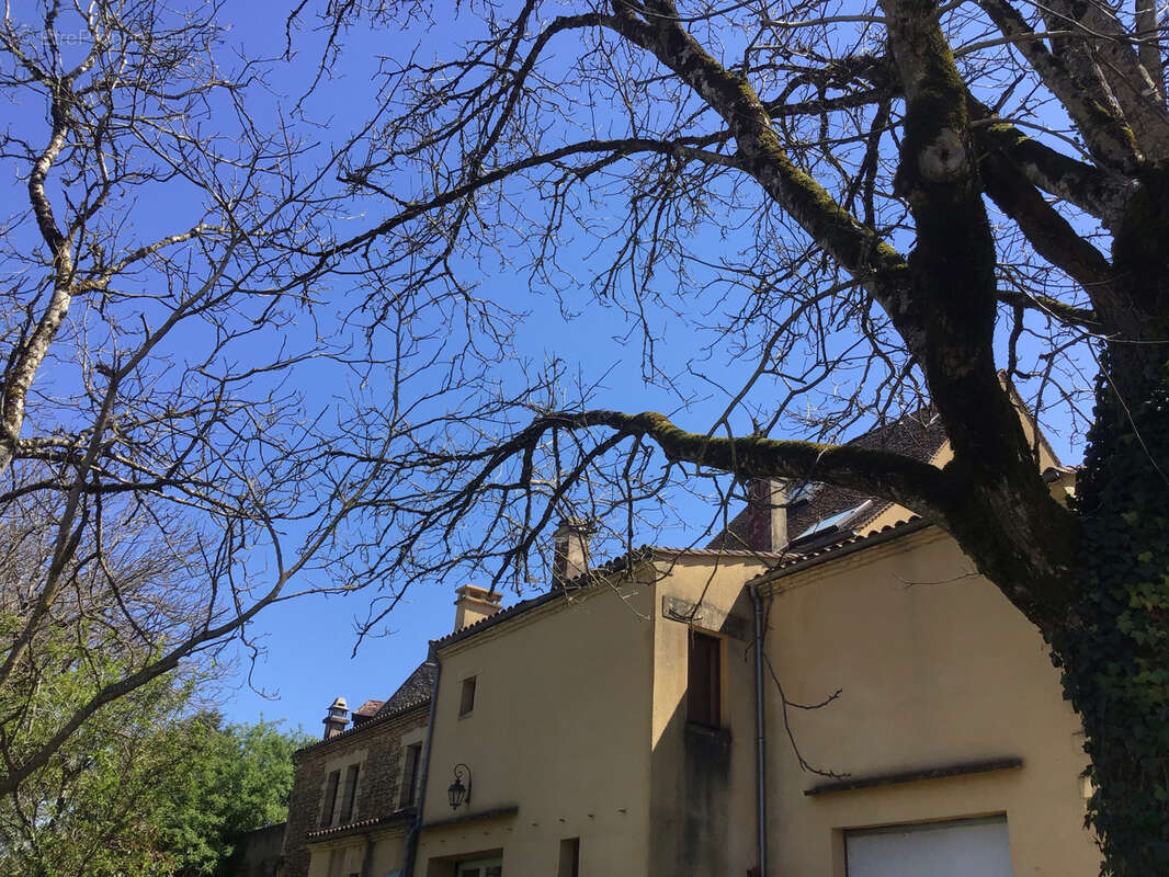 Maison à LES EYZIES-DE-TAYAC-SIREUIL