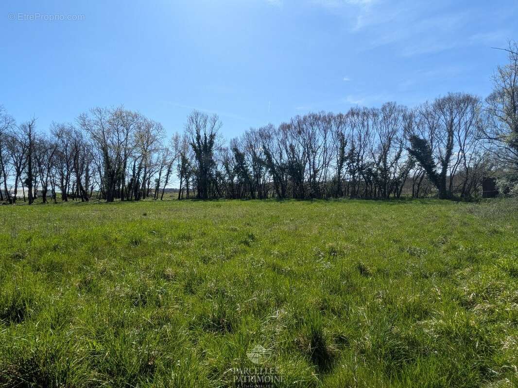 Terrain à MURET