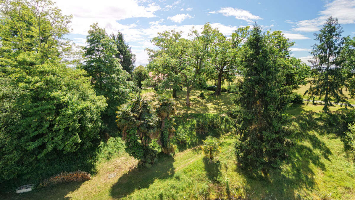 Propriété de caractère avec étang sur plus de 4 hectares - photo 15