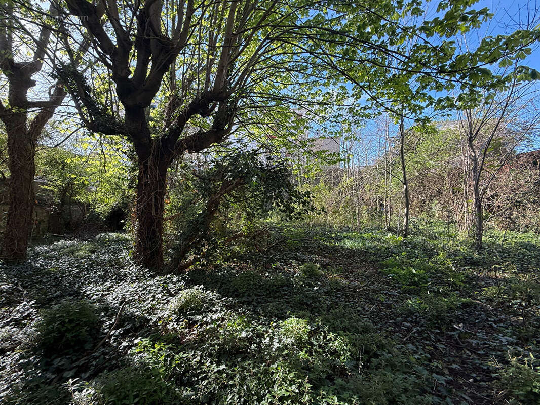 Commerce à MONTREUIL