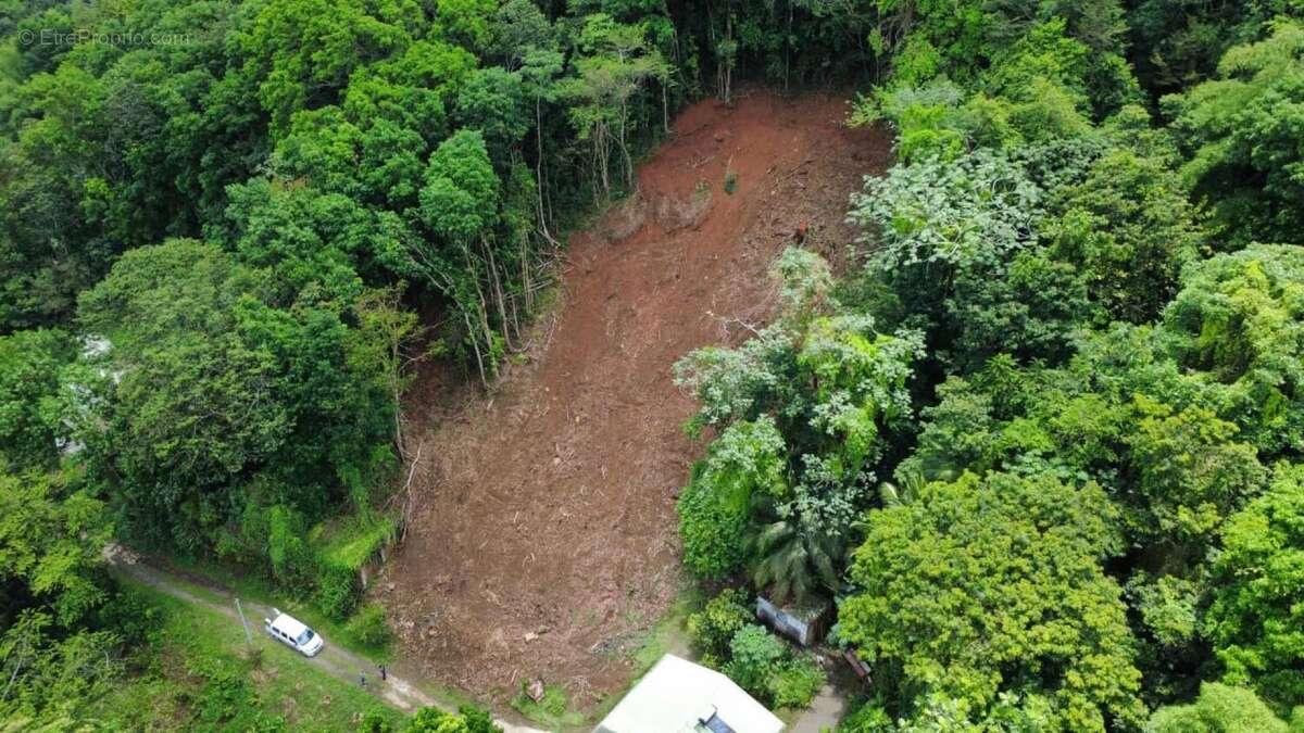 Photo 6 - Terrain à RIVIERE-SALEE