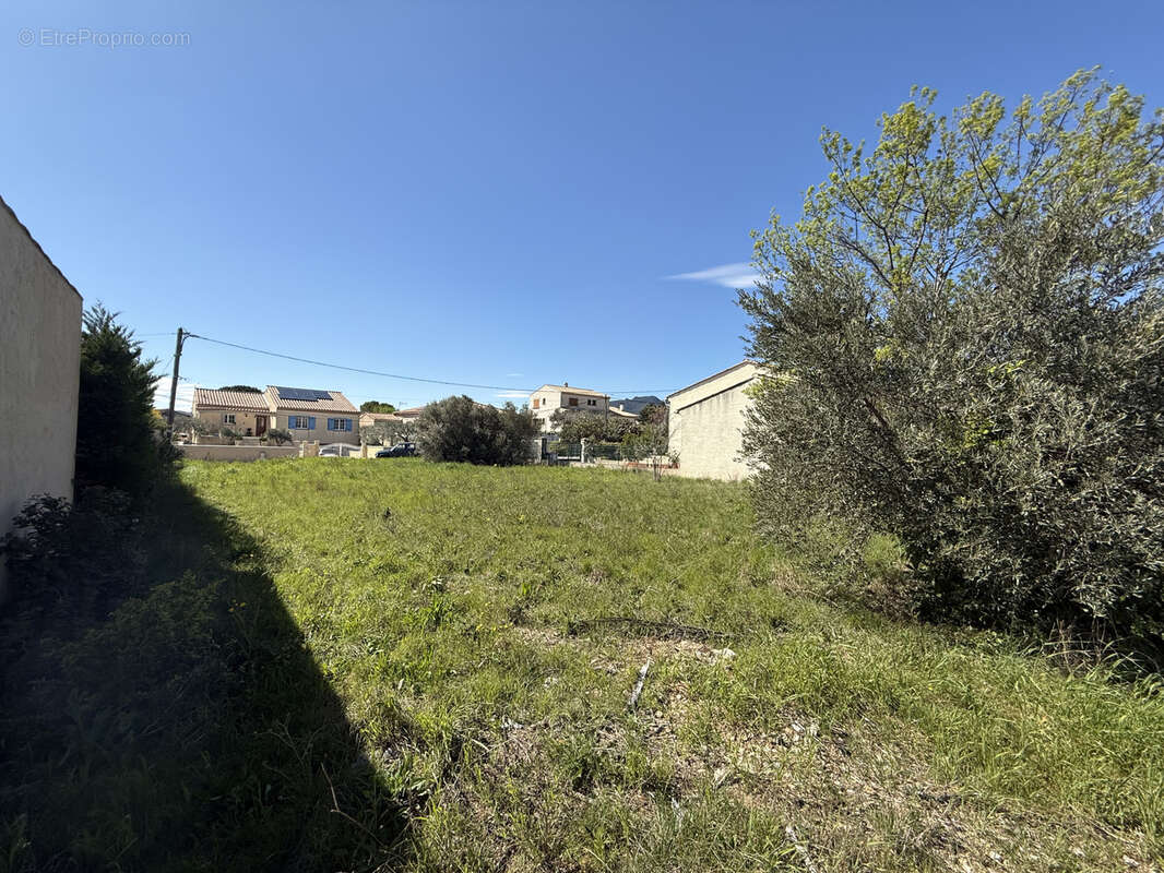 Terrain à MONTPEYROUX