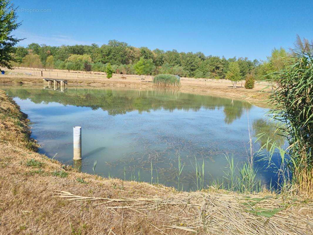 Propriété d'agrément  4 Chambres, un étang et 3,6 Hectares - photo 17