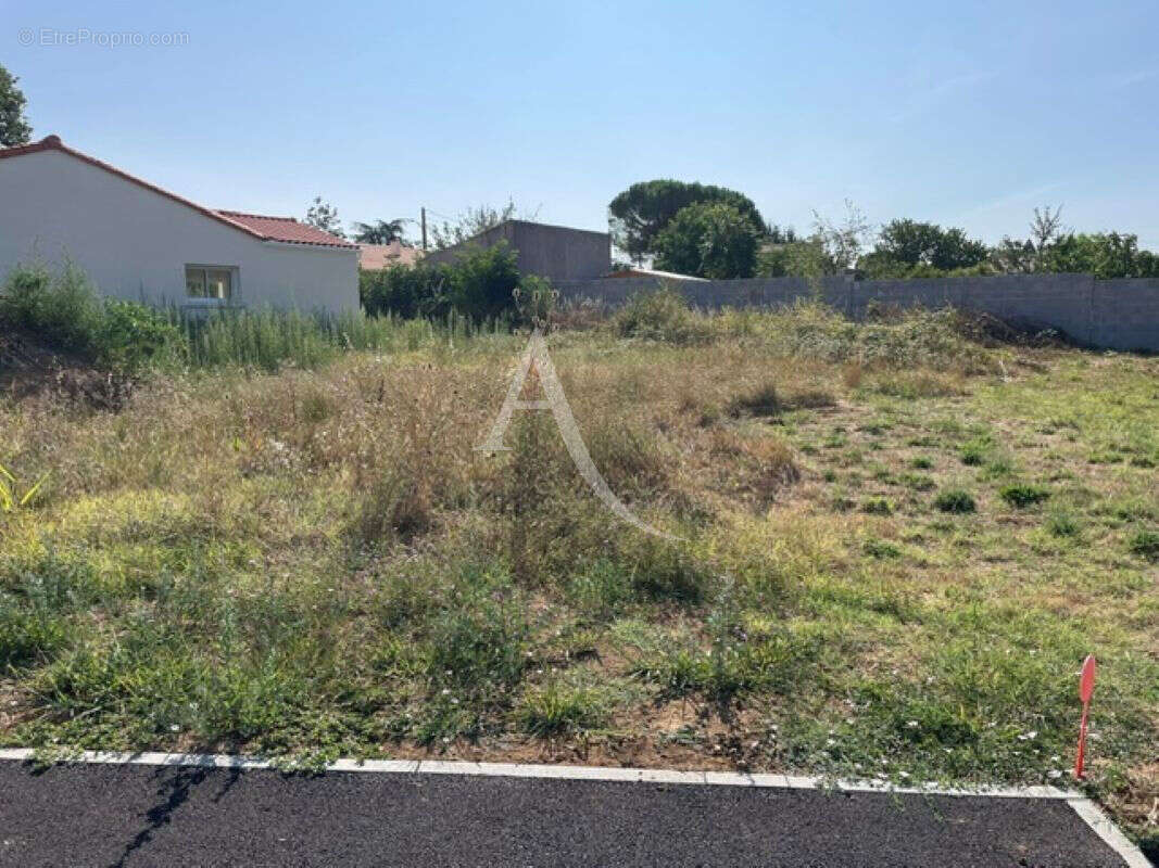 Terrain Saint Agnant 438 m2 - photo 3