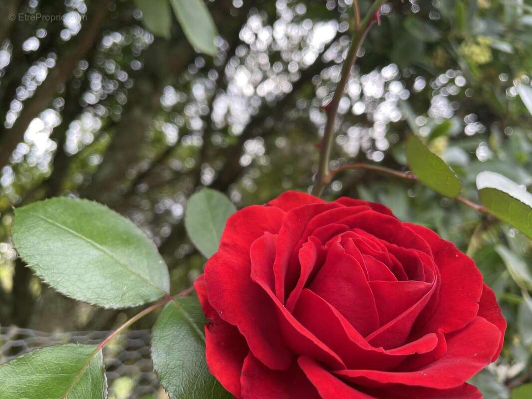 Maison à VIC-FEZENSAC