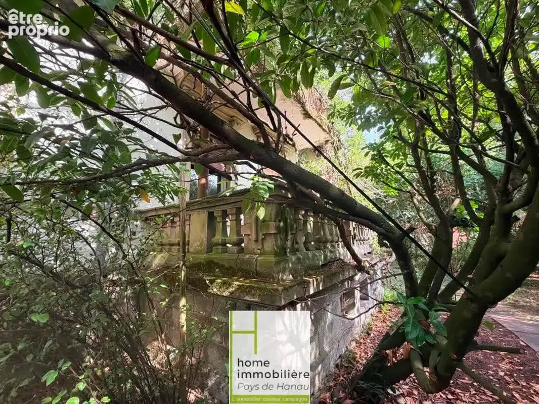 une belle adresse de caractère  a Bouxwiller ! 256 m2 sur 1300m2 d'histoire - photo 6