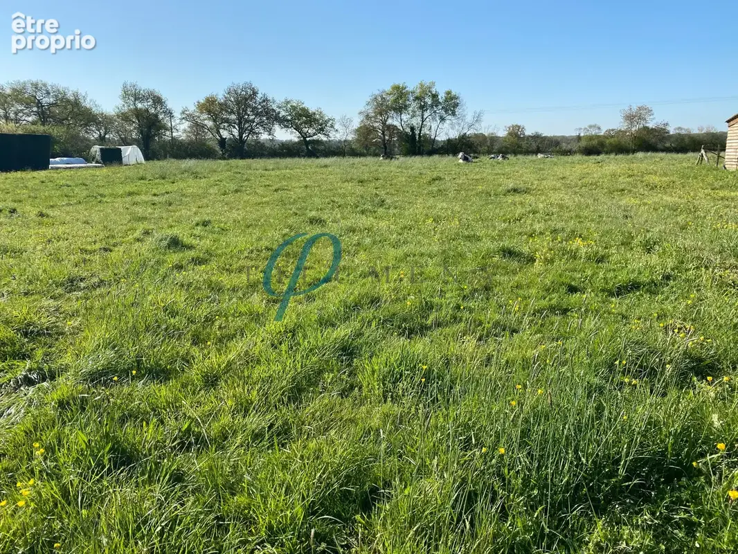 Terrain constructible 908 m2 - photo 2
