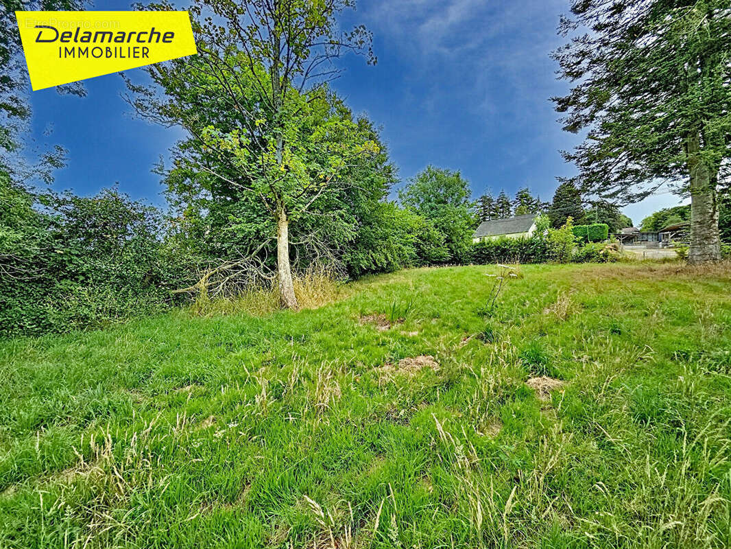 Terrain à VILLEDIEU-LES-POELES
