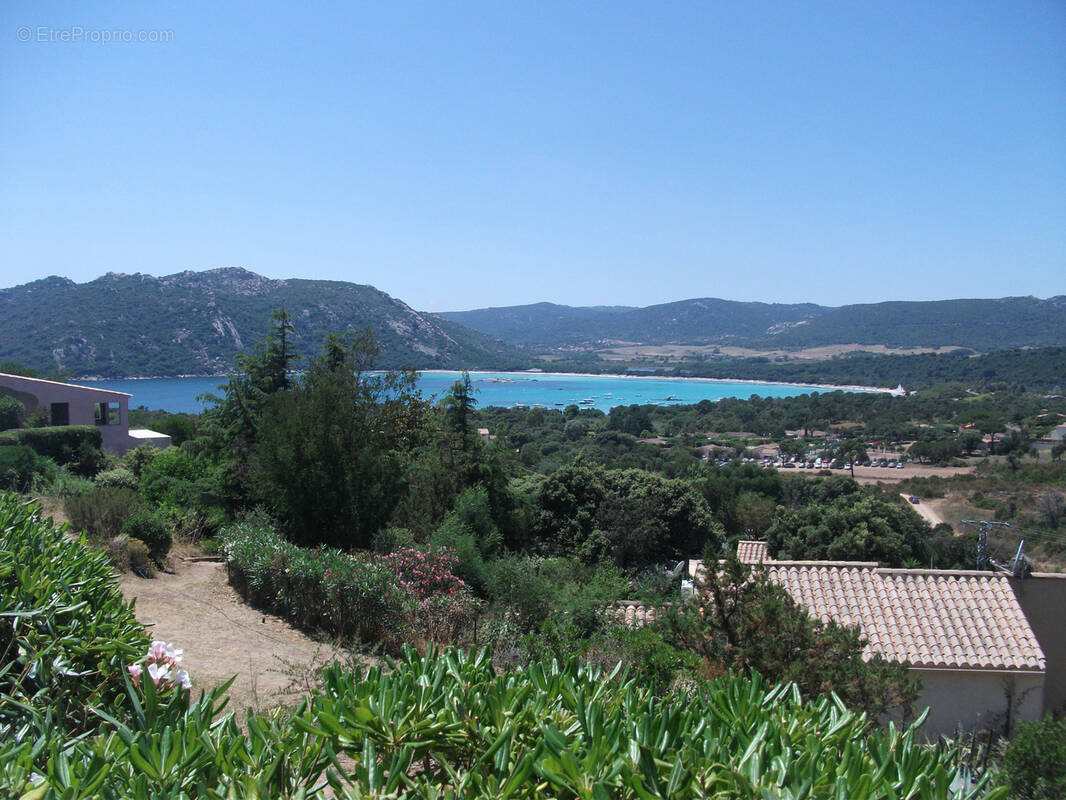Maison à PORTO-VECCHIO