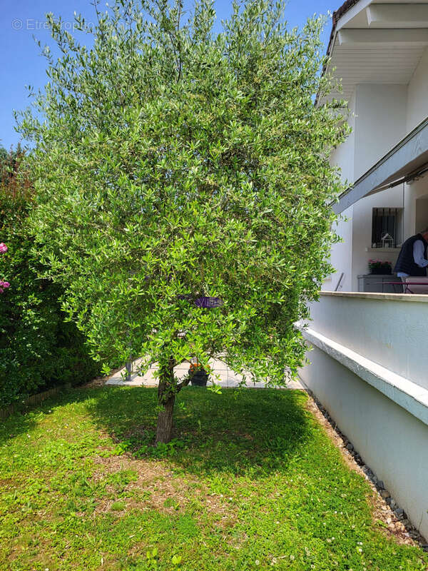 Maison à CHENS-SUR-LEMAN