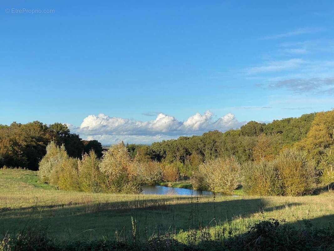 Terrain 1235 m² à Rou-Marson  - photo 3