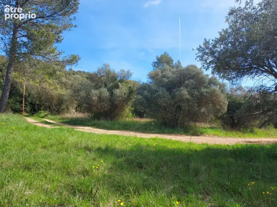 Terrain 1 456 m² à vendre à Camps-La-Source (83170) - photo 4