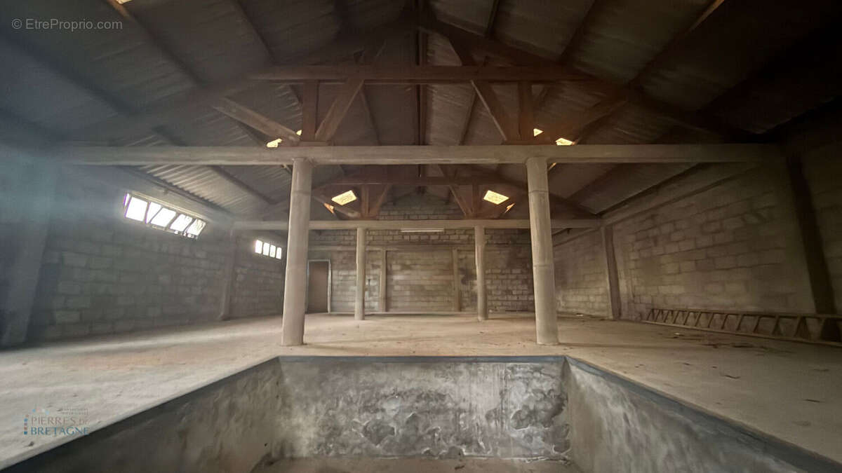 Commerce à SAINT-RENAN