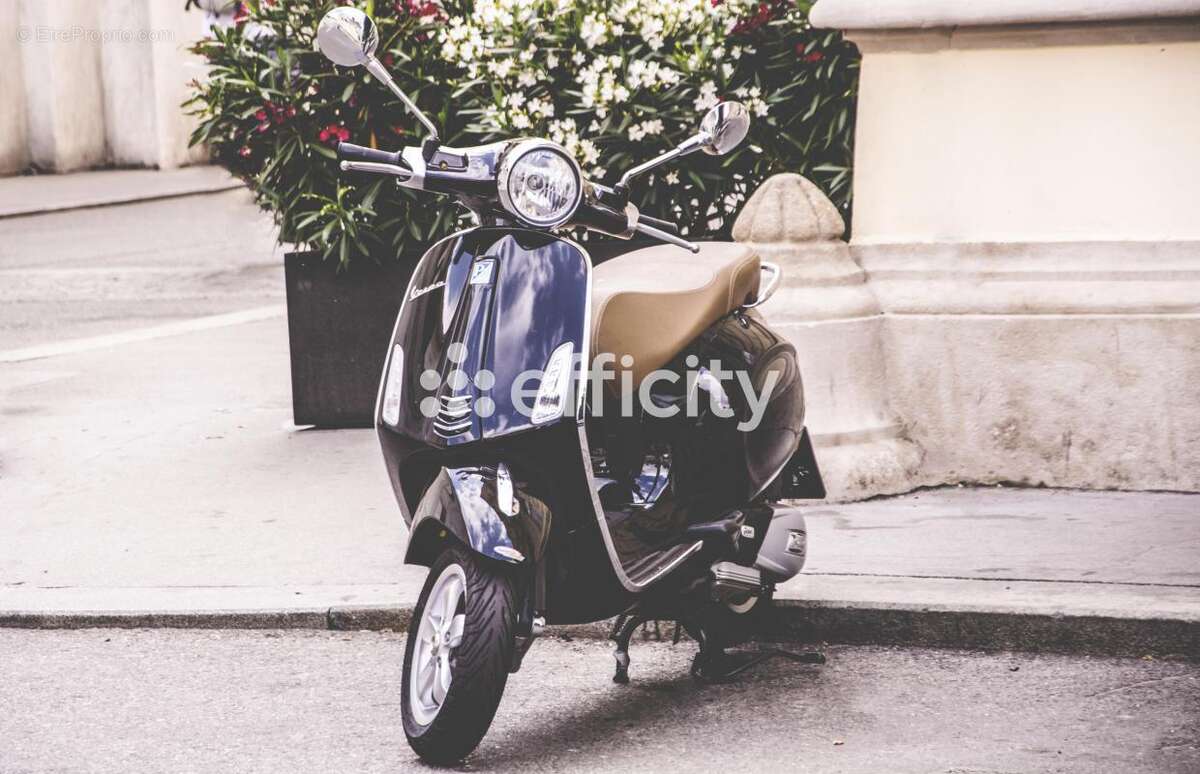 Commerce à SAINT-LEGER-DES-VIGNES