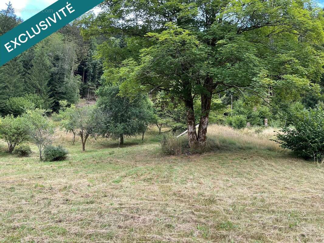 Photo 4 - Maison à SERVANCE