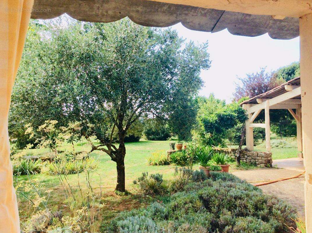 Maison en pierres et gite - photo 10