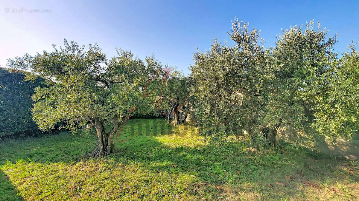 Maison à CHATEAURENARD