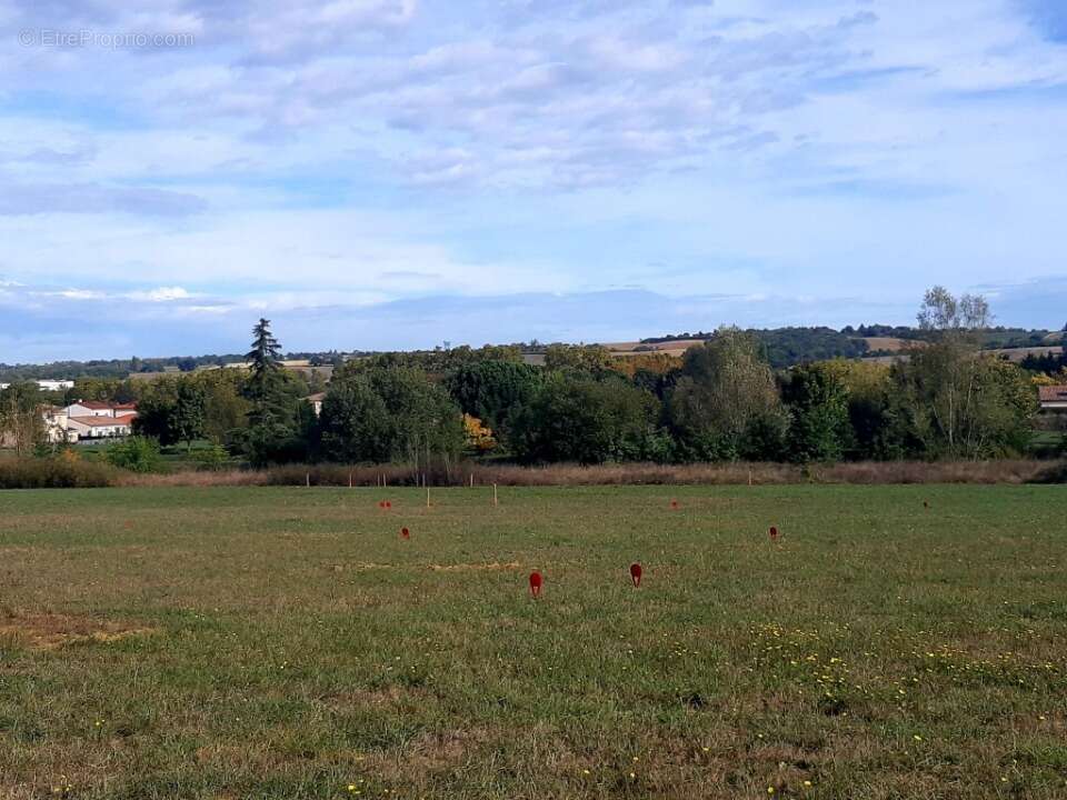 Terrain 350 m² à Verfeil  - photo 3