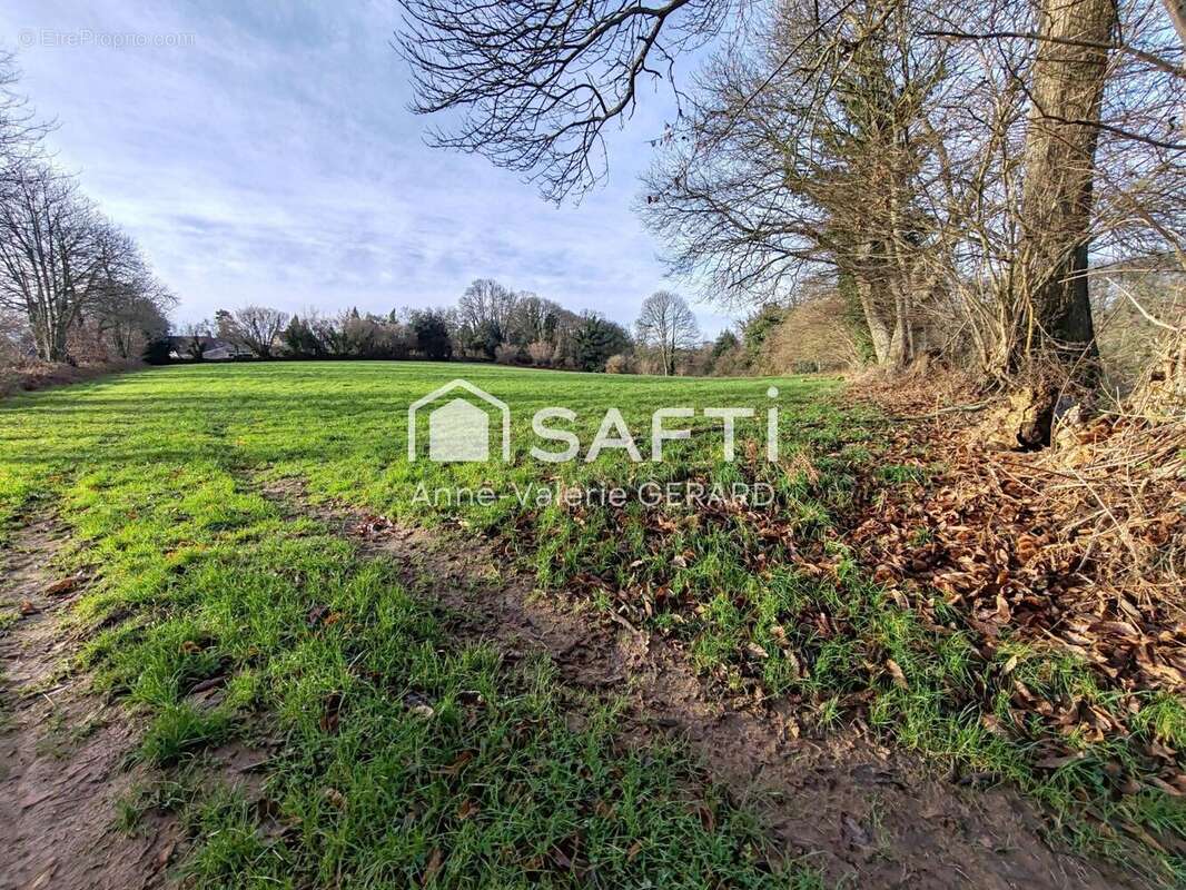 Photo 2 - Terrain à BUAIS