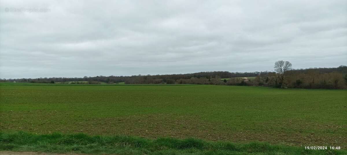 Terrain à AVY