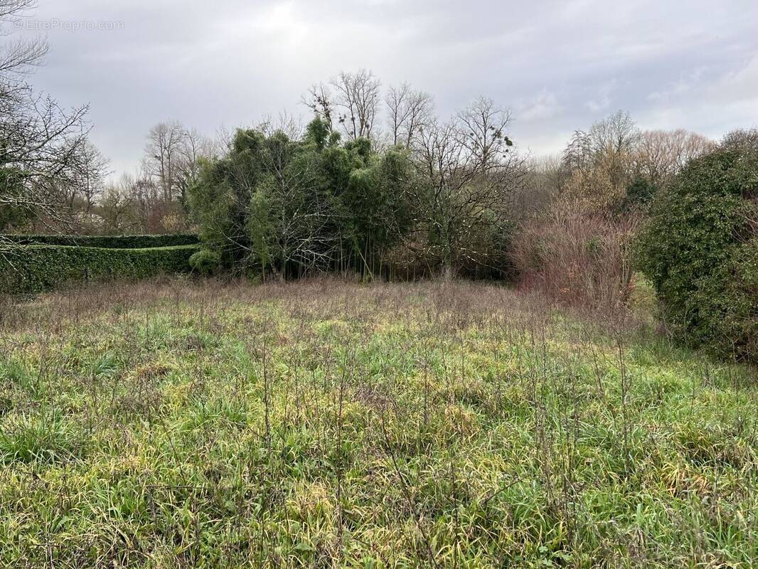 Terrain à ANGOULEME
