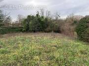 Terrain à ANGOULEME