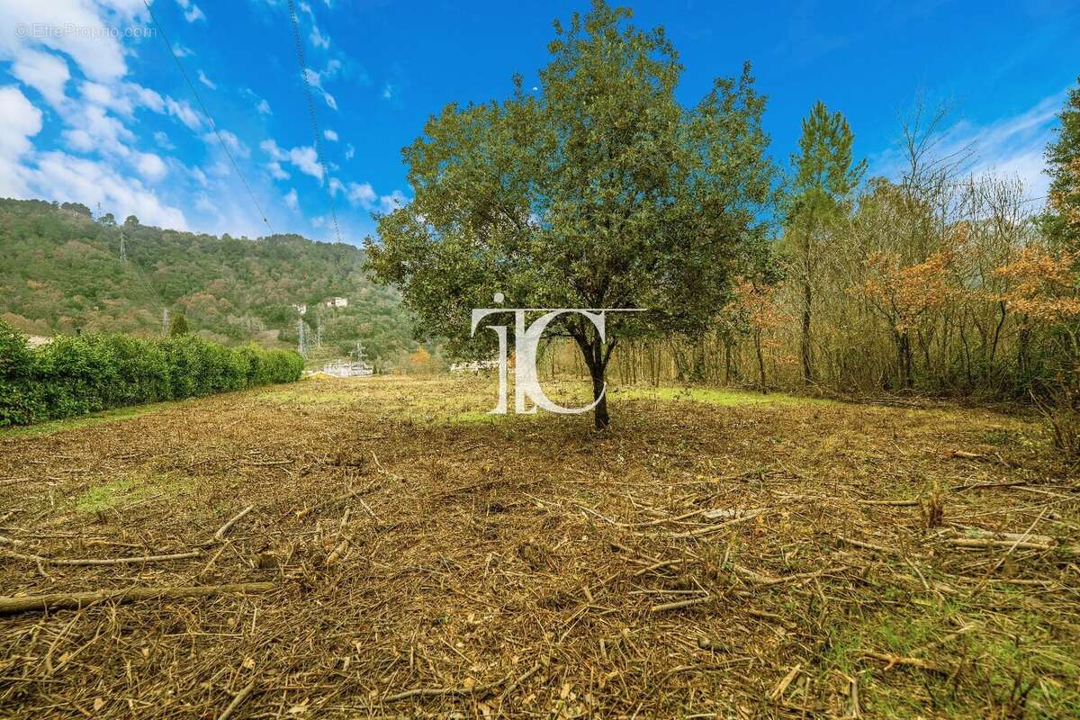 Terrain à CHAMBONAS