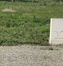 Terrain à ARTHON-EN-RETZ