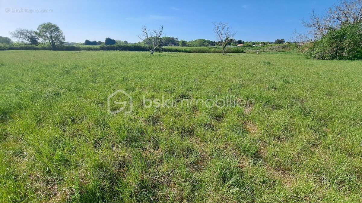 Terrain à SAINT-FRONT-DE-PRADOUX