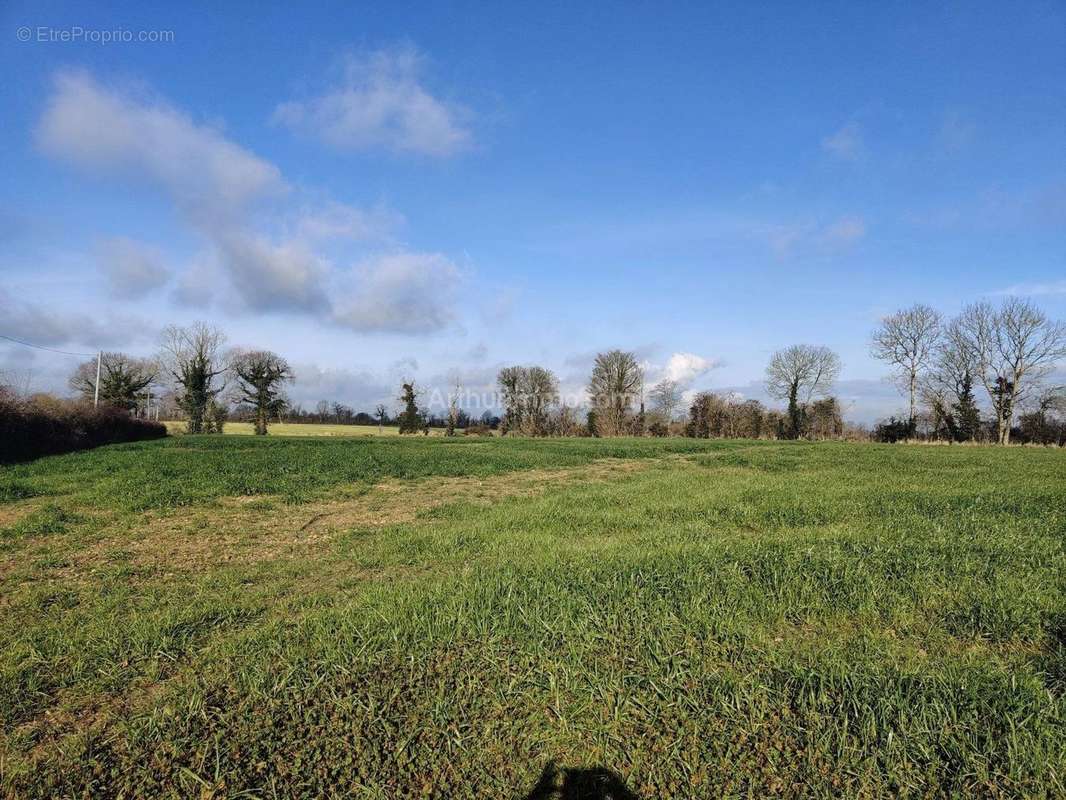 Terrain à CARPIQUET
