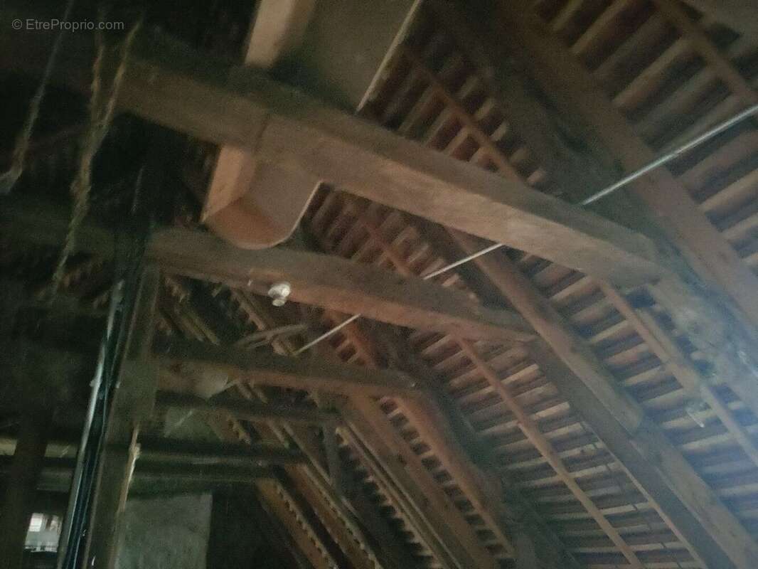 Oppotunité investisseur - photo 14