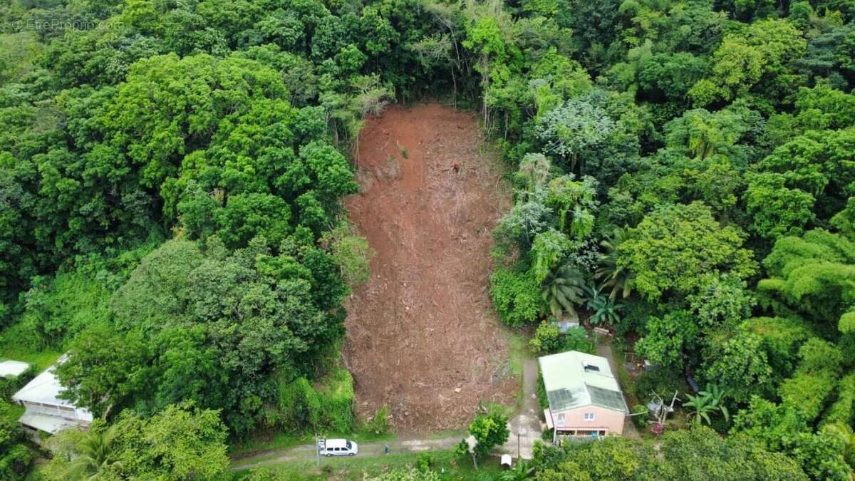 Photo 5 - Terrain à RIVIERE-SALEE