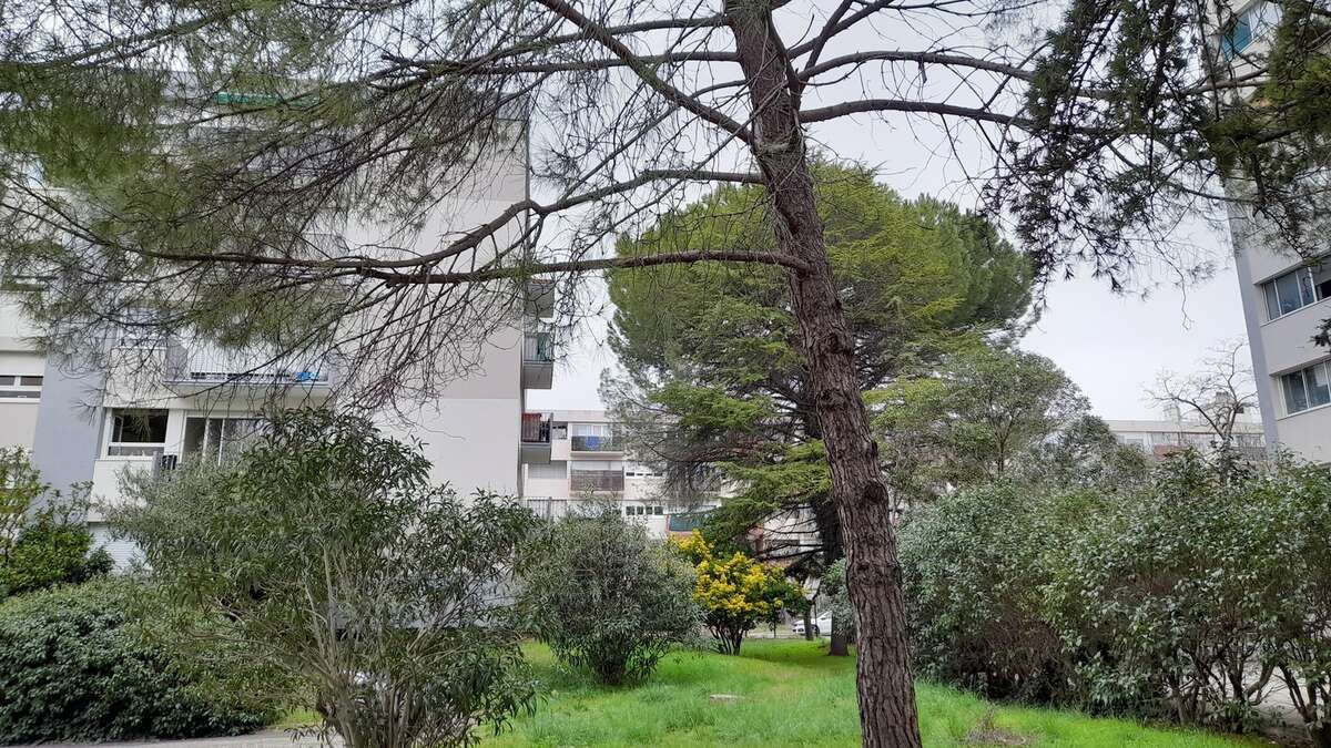 Appartement à MONTPELLIER