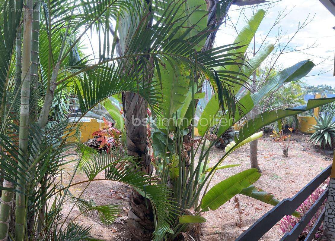 Maison à SAINT-JOSEPH