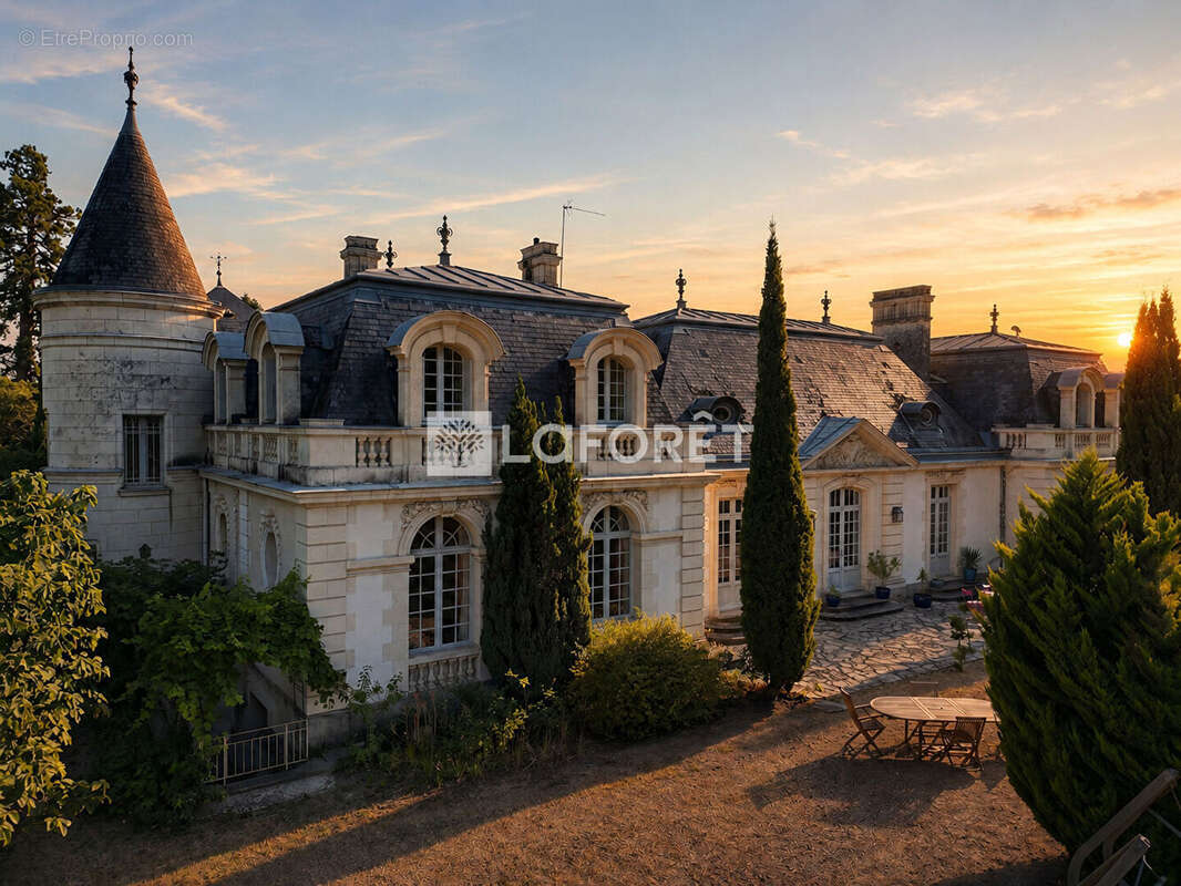 Demeure de prestige Saint Avertin 392 m2 - photo 2