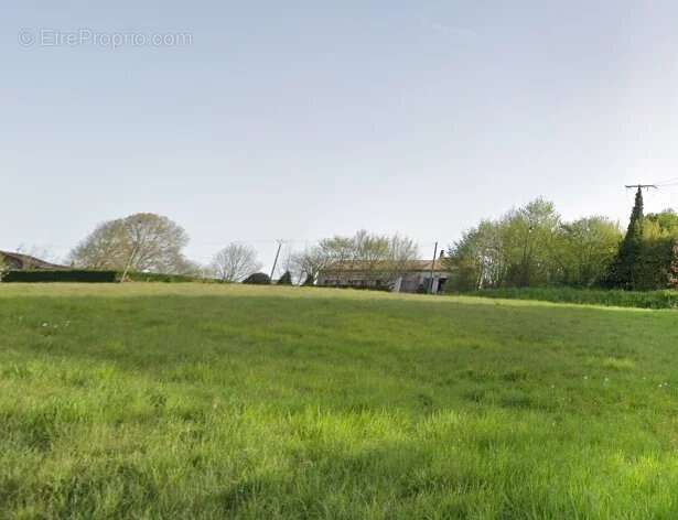 Terrain à SINGLEYRAC