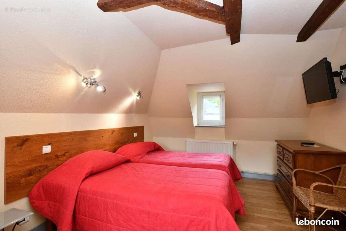 Commerce 548 m² à Le Falgoux  - photo 3