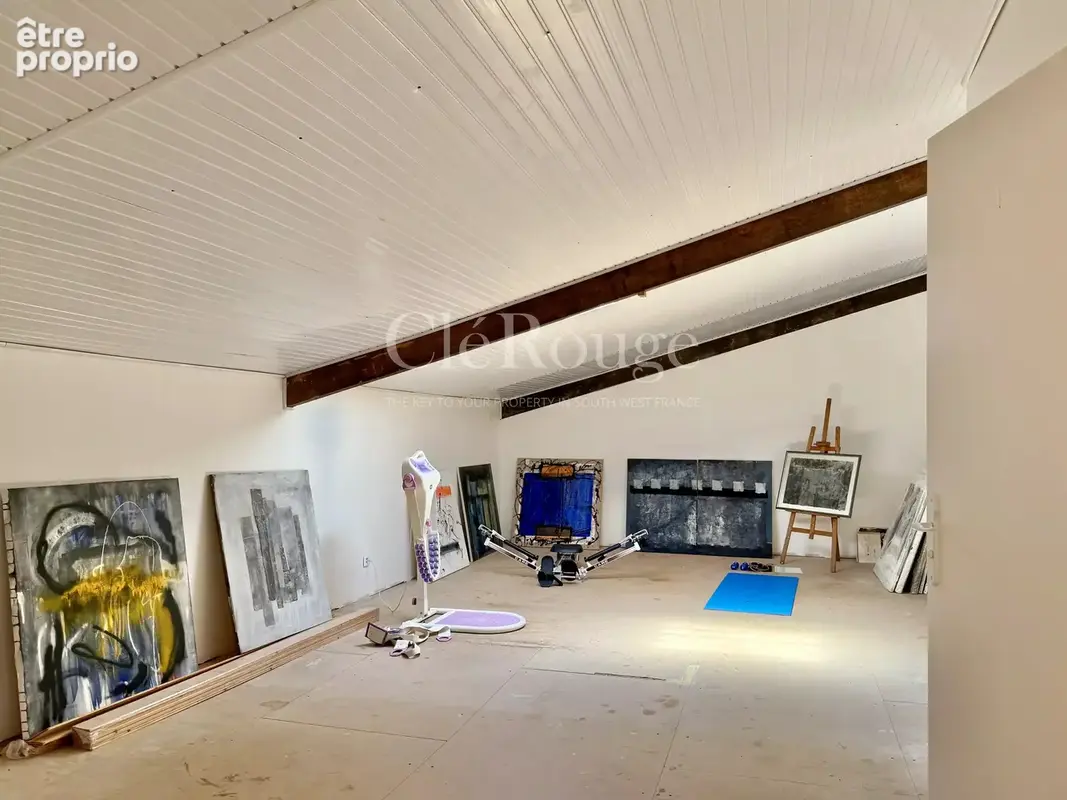 Près de Sauveterre de Guyenne - Belle maison avec gîte et piscine - photo 25