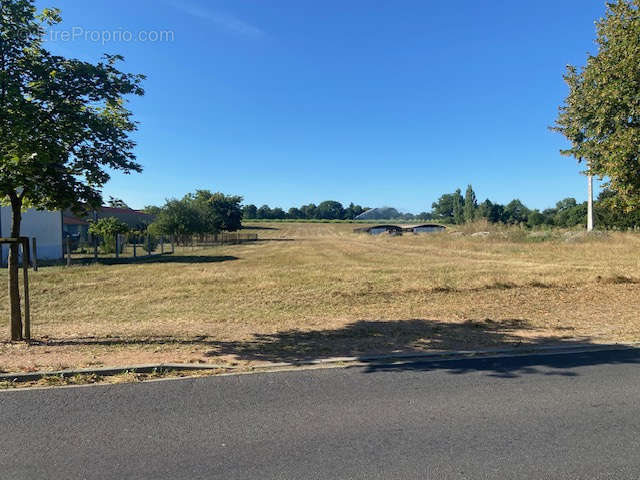 Terrain à MARINGUES